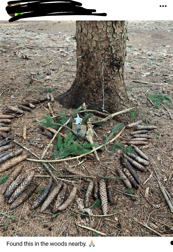 Pinecones and branches arranged in a circle at the base of a tree—an odd NextDoor post find in the woods.