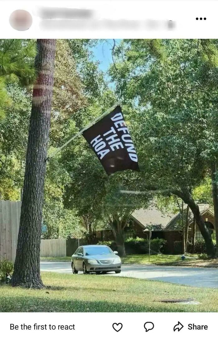Flag reading "Defund the HOA" on a suburban street, capturing ridiculous NextDoor post.