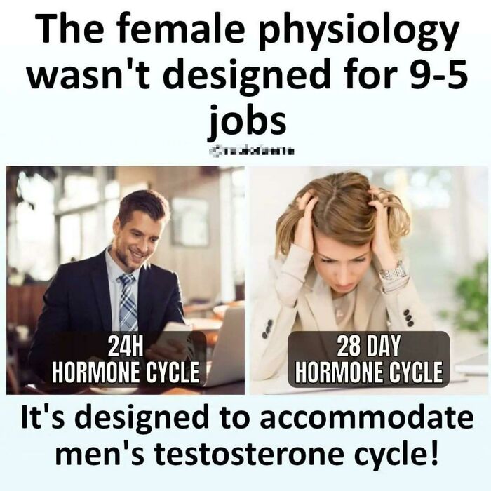 Comparison of male and female hormone cycles highlighting challenges women face in typical 9-5 jobs for misogynists reality check.