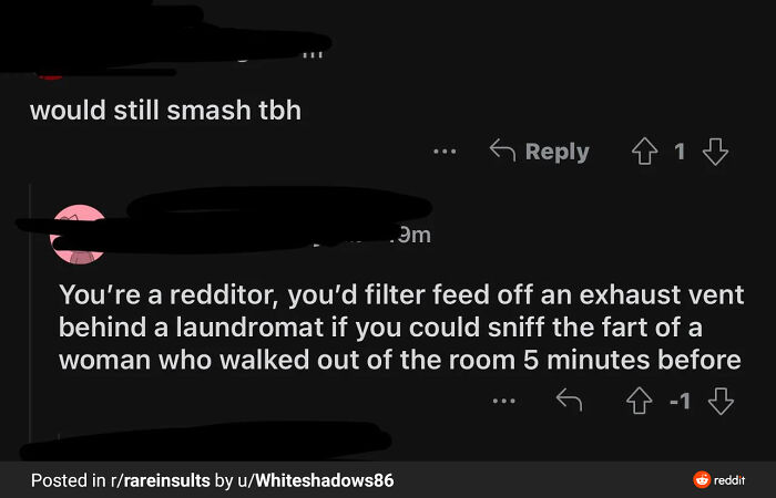 Reddit comment comeback with a witty insult about a redditor's habits.