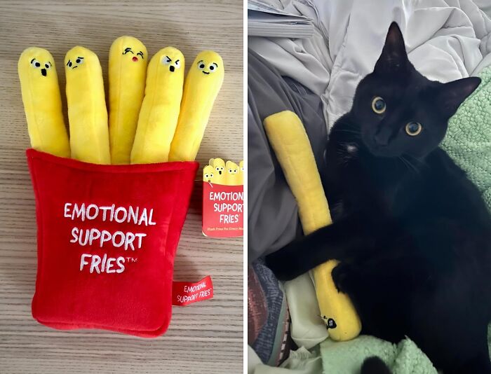 Plush emotional support fries toy with funny faces and a black cat hugging one, a humorous Mother's Day gift idea.