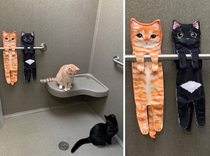 Two cats sitting in a bathroom with two funny cat-shaped Mother's Day gifts hanging on a silver bar.