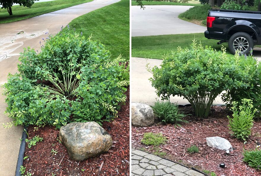 Get That Green Glow Up: Essential Plant Support Stakes For Your Garden!