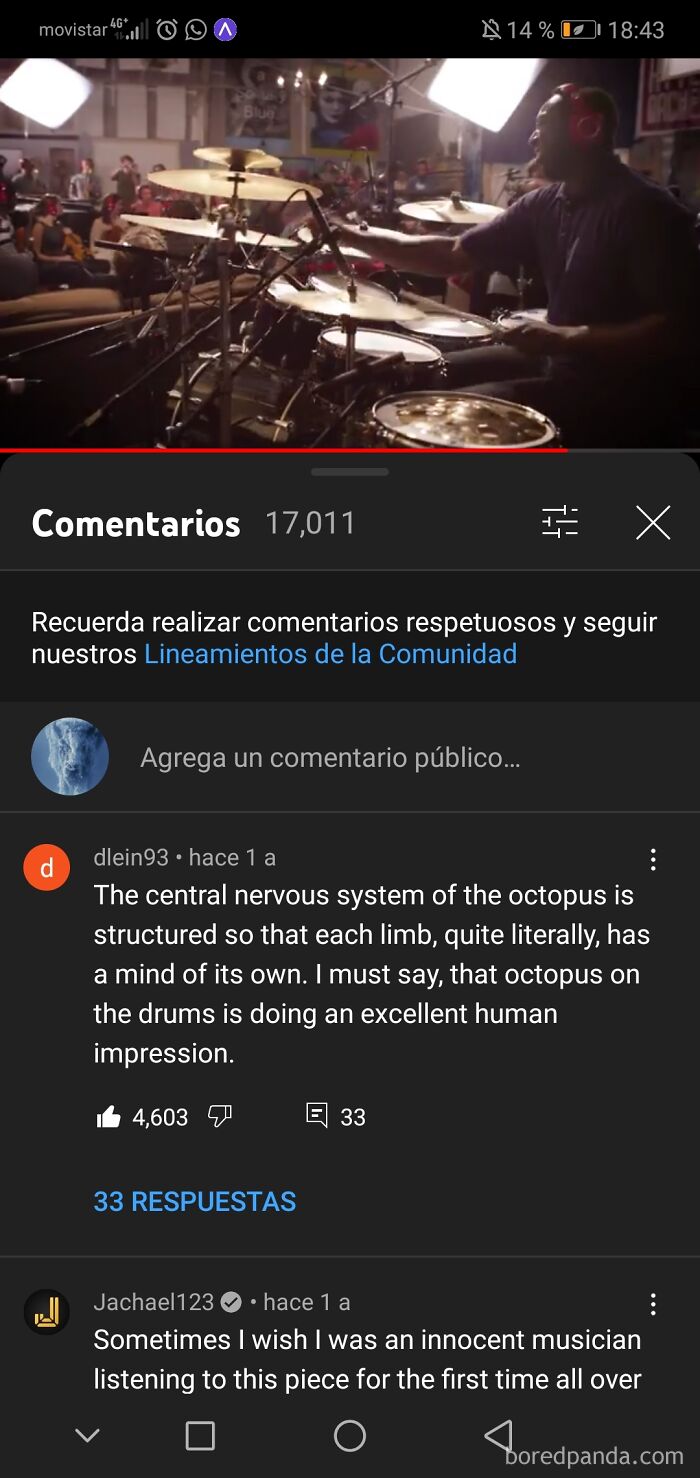 Rare compliments highlighting a drummer's skill in an online video comment section.