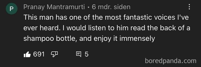 Online comment about a man's fantastic voice, expressing enjoyment of listening even to mundane text like shampoo bottles.