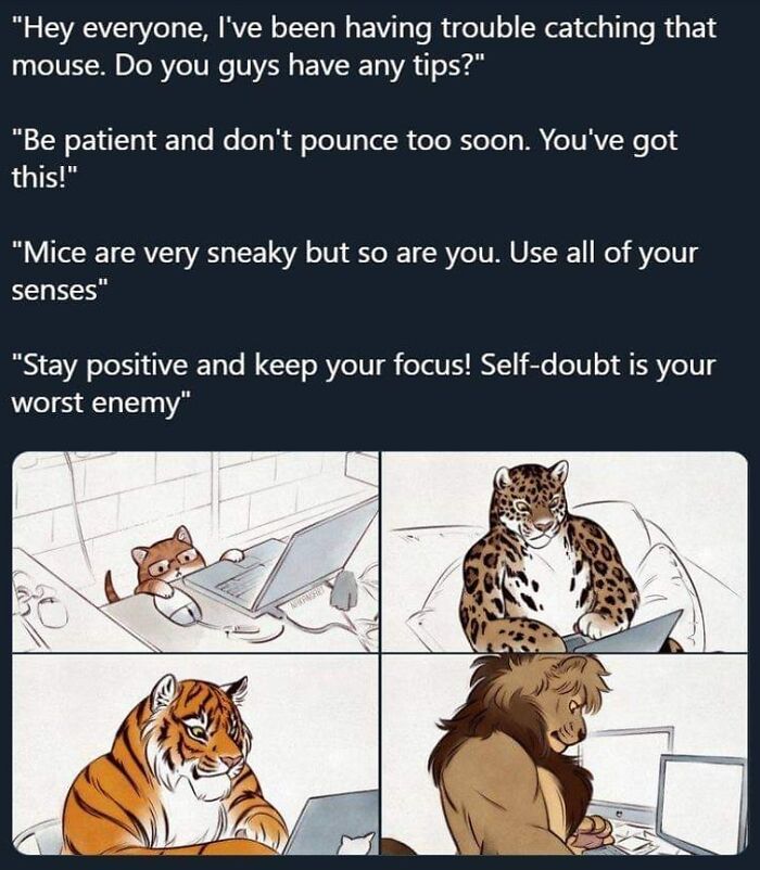 Animals offering each other support online, sharing encouraging advice on catching a mouse.
