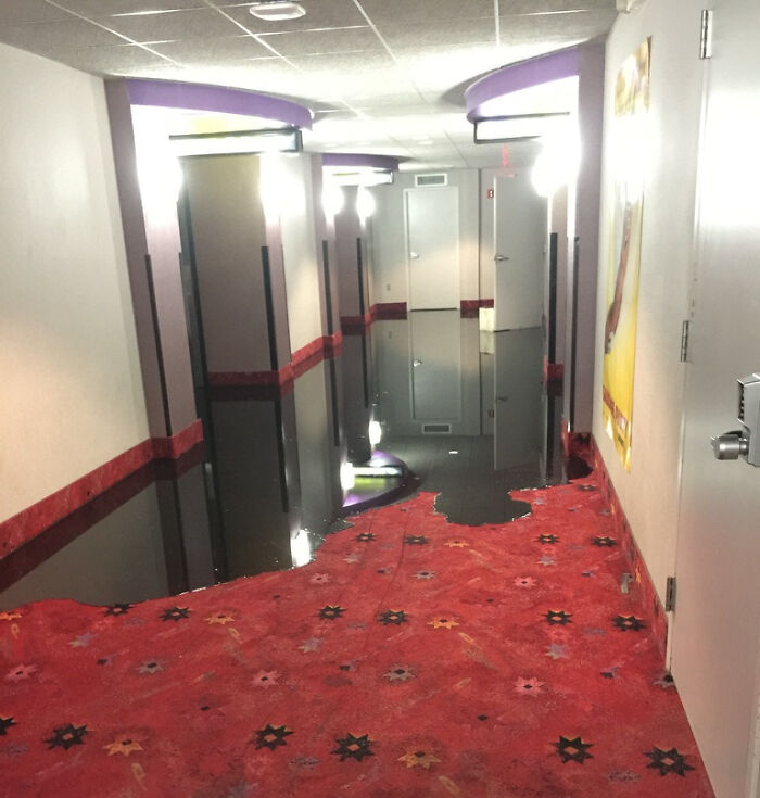 Flooded hallway with red carpet reflecting lights, creating an unusual and intriguing scene.