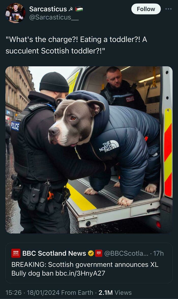 Police put a dog in a van; humorous Scottish humor post highlights dog in a puffer jacket.
