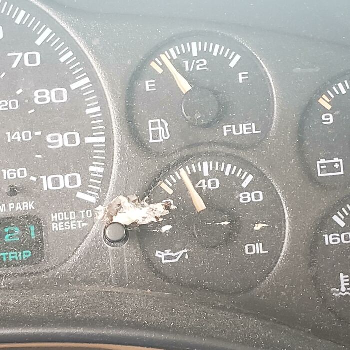 Bird Flew At Precisely The Right Height And Velocity To Successfully [poop] Inside My Car Through My Open Window While I Sat In Line At A Drive Thru. Almost A Bullseye On The Trip Button