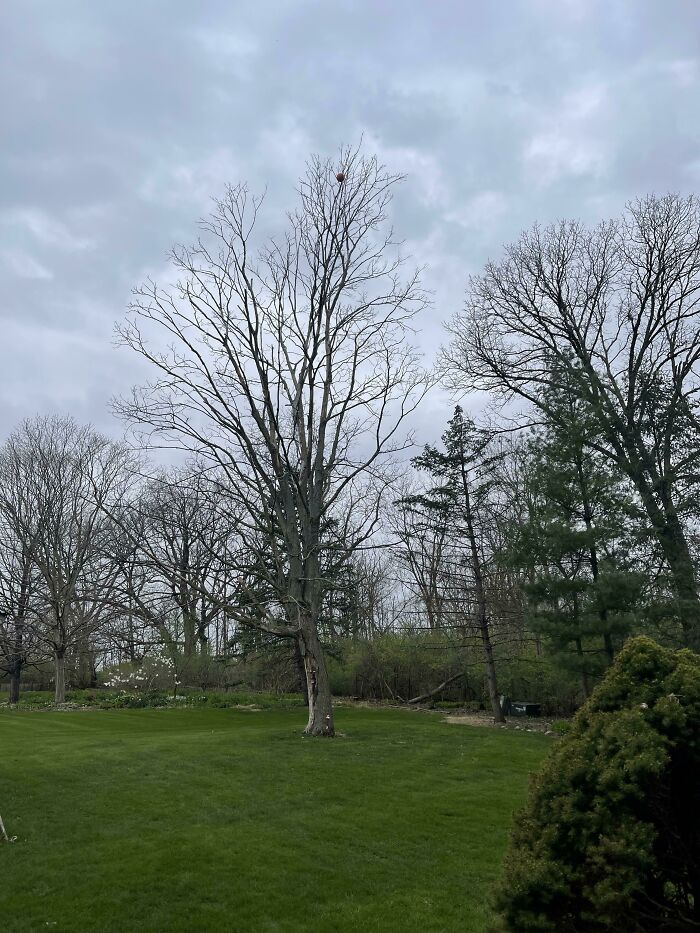 I’ll Never Kick A Ball Higher In My Life