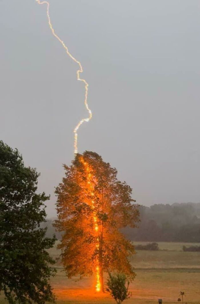 Lightning Hit Photographed At The Right Moment, By Debbie P