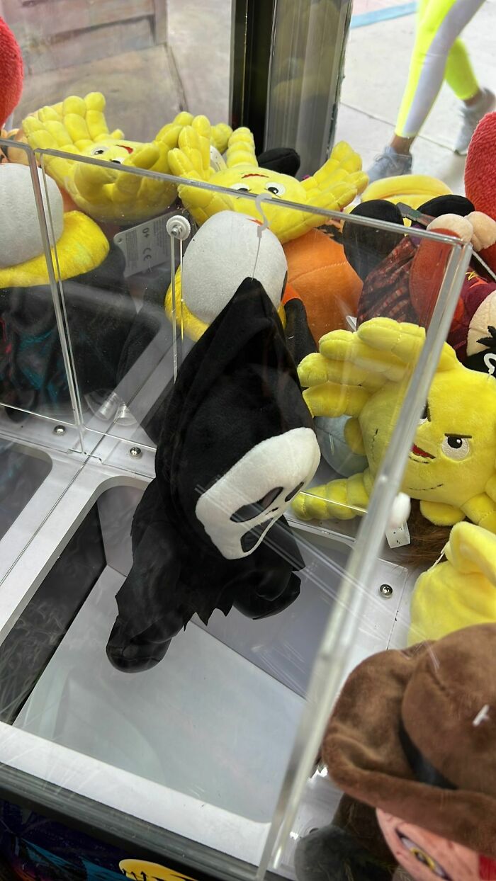 A Customer Managed To Grab This Plush In Our Claw Machine Today, And This Is What Happened When It Went To Drop Down The Shoot