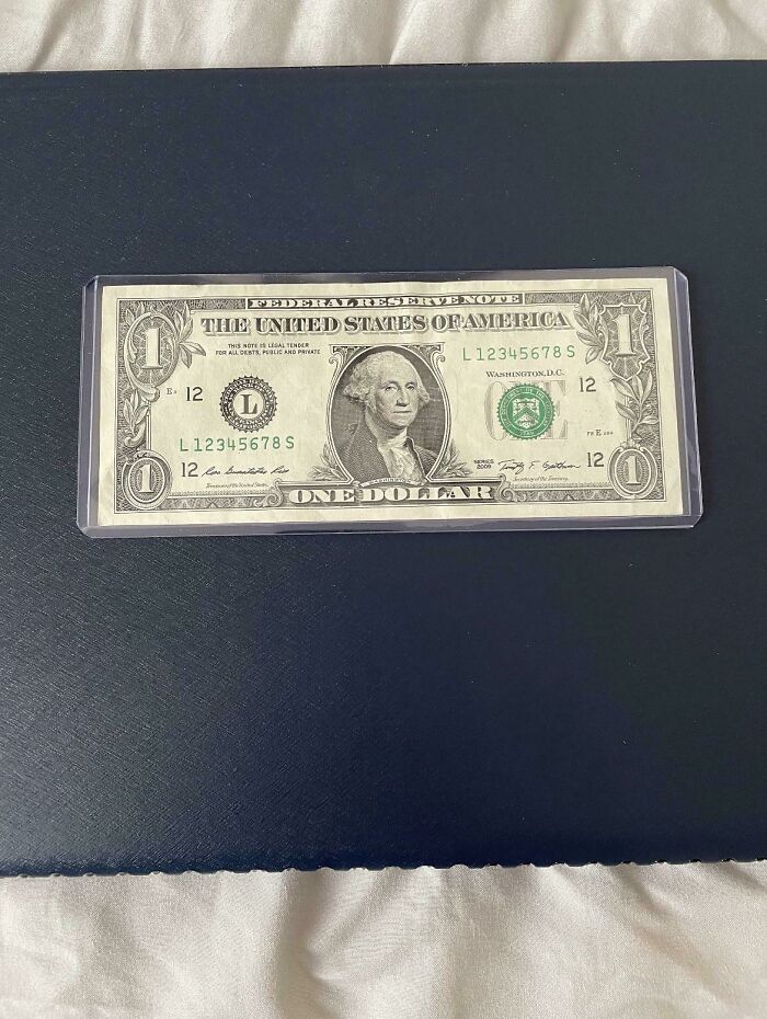 Perfect Ladder Dollar Bill!