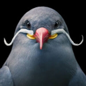 donaldpritchard avatar