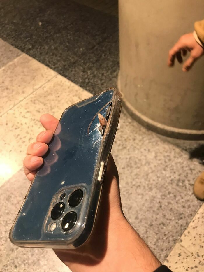 Hand holding c*****d phone case with small lizard trapped in the broken corner, a wild coincidence captured in a photo.