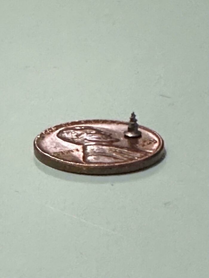 Tiny medical s***w next to a penny on a light green surface, highlighting an interesting medical case.
