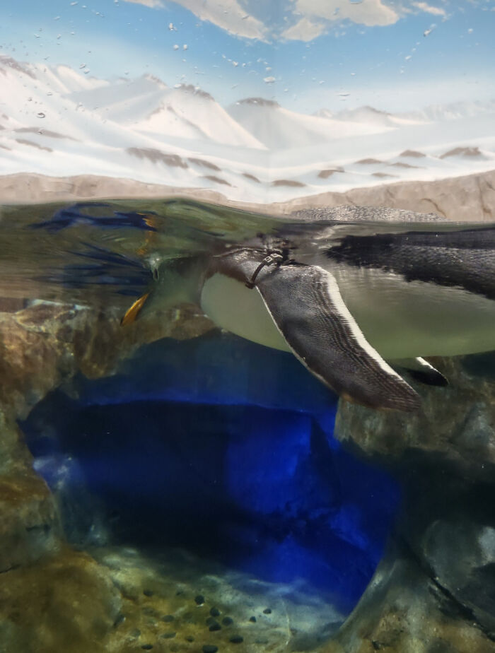 Here's A Challenge For Ya