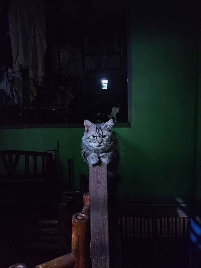 Just Chilling On This Quiet Night