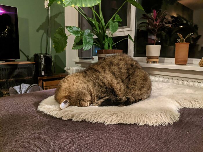 I'm Worried About Him Sometimes