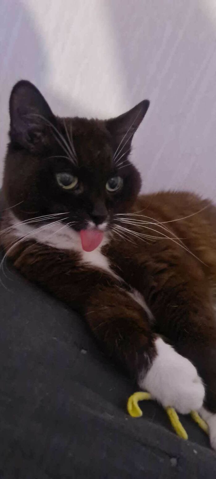 My Pretty Girl Just Turned 16