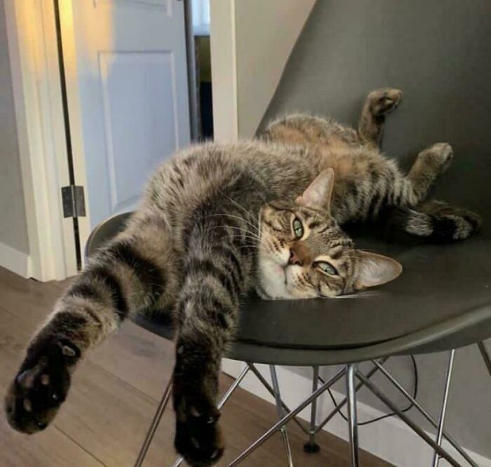 Hi, I’m Anfisa And I Feel So Comfortable!