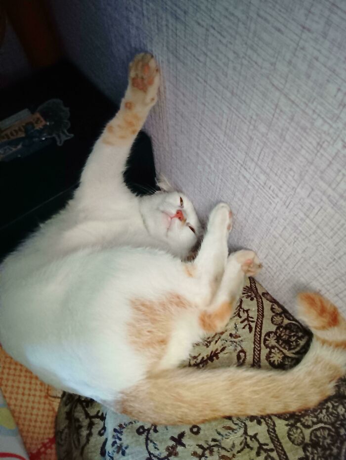 Woke Up To Find Her Sleeping Next To Me.. Like This