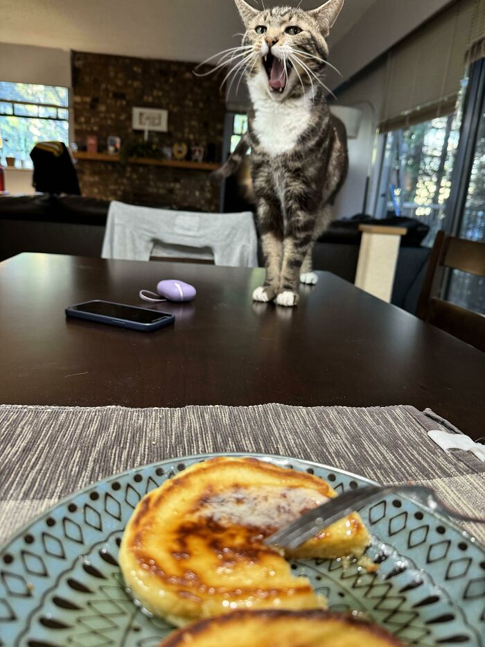 Rivers’ Reaction To Me Yelling At Him For Jumping On The Table