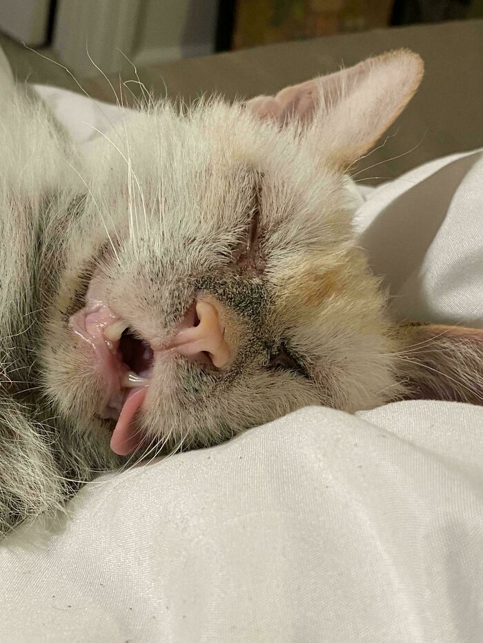 Sleeping Beauty 😻