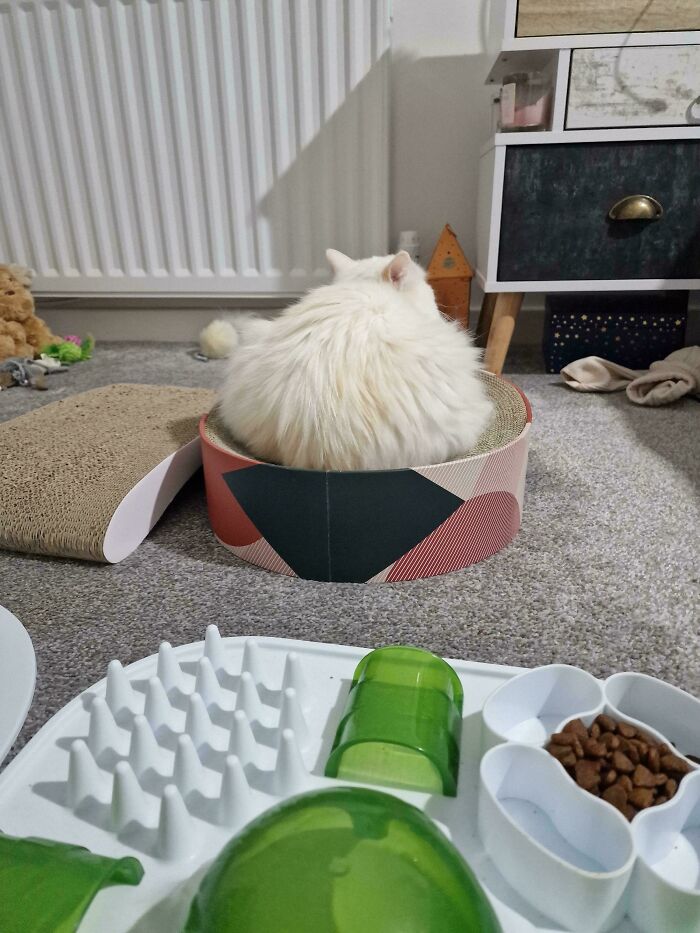 She's Sitting In Front Of Me. Like This. (Oc)