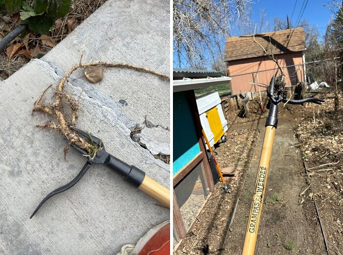 Tame Even The Unruliest Of Weeds With Grampa’s Weeder