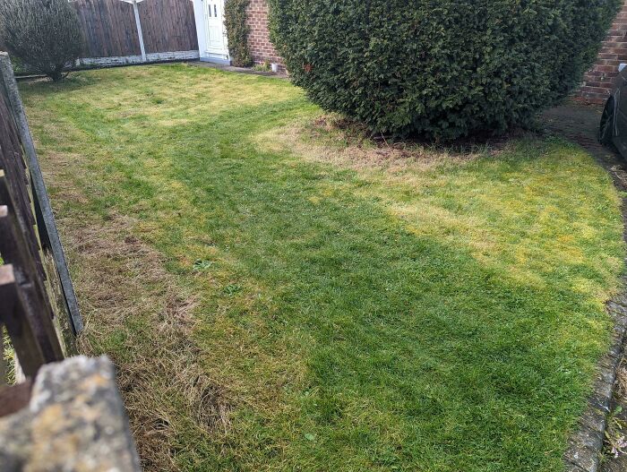 Our Grass Is Greener Where We Walk Around The Bush With A Pram