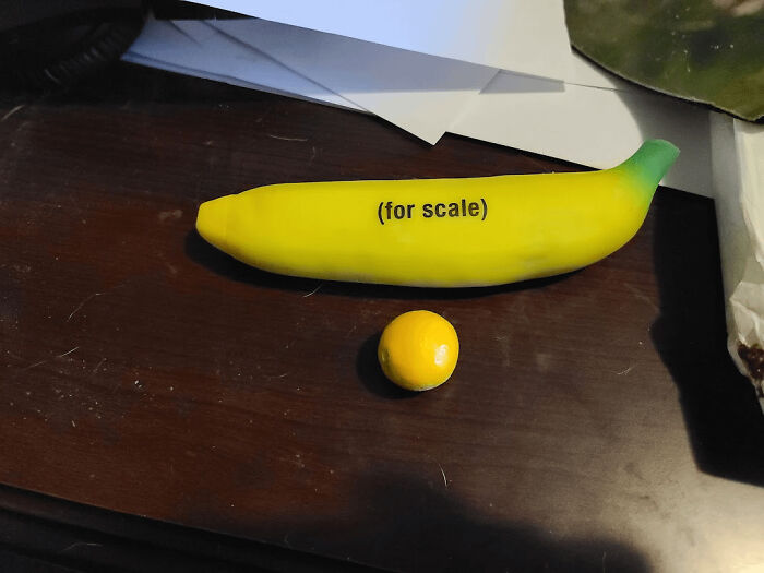 Tiny orange next to large banana, showcasing hilarious harvesting fails.