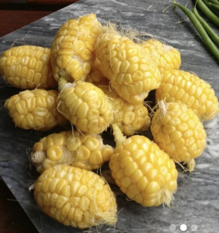 Unusually small corn cobs on a marble surface, showcasing harvesting fails with a touch of humor.