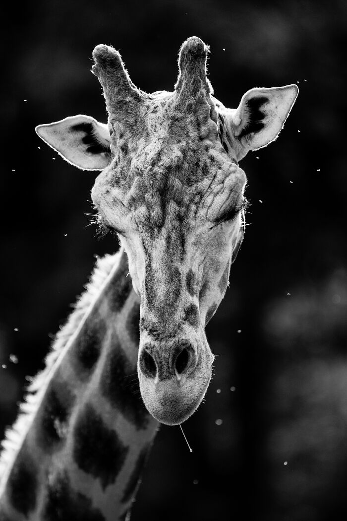 Some Of My Favorite Black And White Photos I've Taken In The Last 18 Years