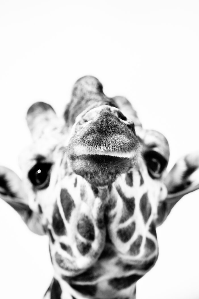 Some Of My Favorite Black And White Photos I've Taken In The Last 18 Years