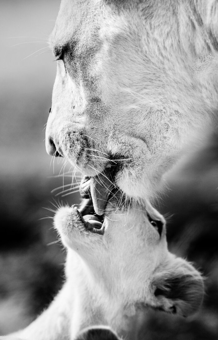 Some Of My Favorite Black And White Photos I've Taken In The Last 18 Years