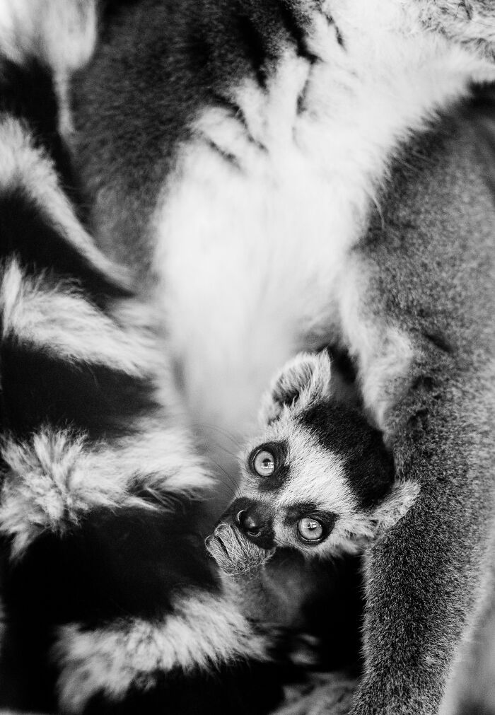 Some Of My Favorite Black And White Photos I've Taken In The Last 18 Years