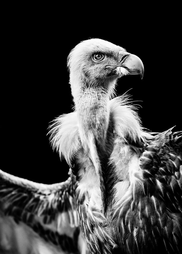 Some Of My Favorite Black And White Photos I've Taken In The Last 18 Years