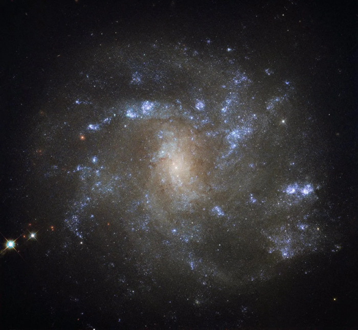 Galaxy NGC 2500