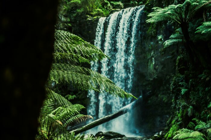 35 Tourists Who Wore Their Stupidity On Their Sleeve By Making Really Ignorant Remarks - 4