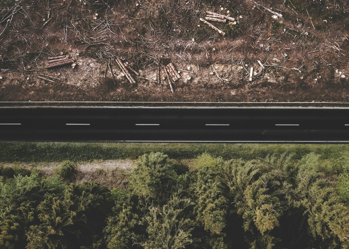 30 People Are Sharing The Worst Travel Destinations That Are 100% Not Worth The Hype - 7