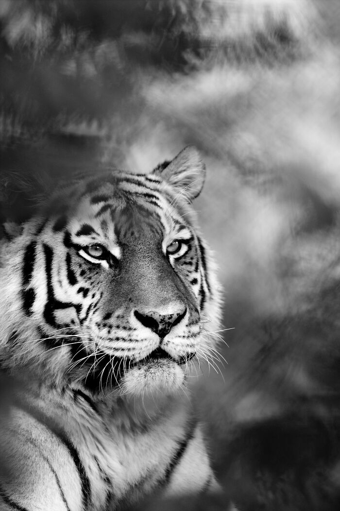 Some Of My Favorite Black And White Photos I've Taken In The Last 18 Years