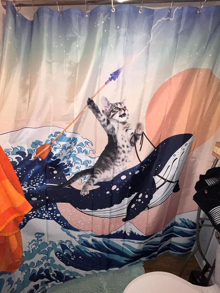 Cat riding a whale shower curtain with a spear, one of the creative Amazon finds hovering between genius and why does this exist.