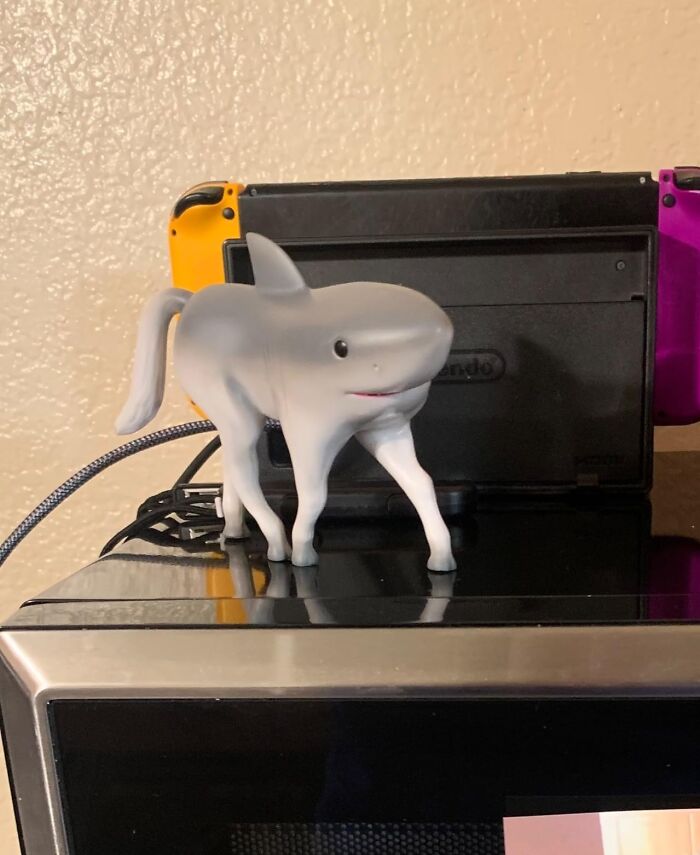 Unusual Amazon finds featuring a quirky shark-horse hybrid figurine displayed on electronic devices.