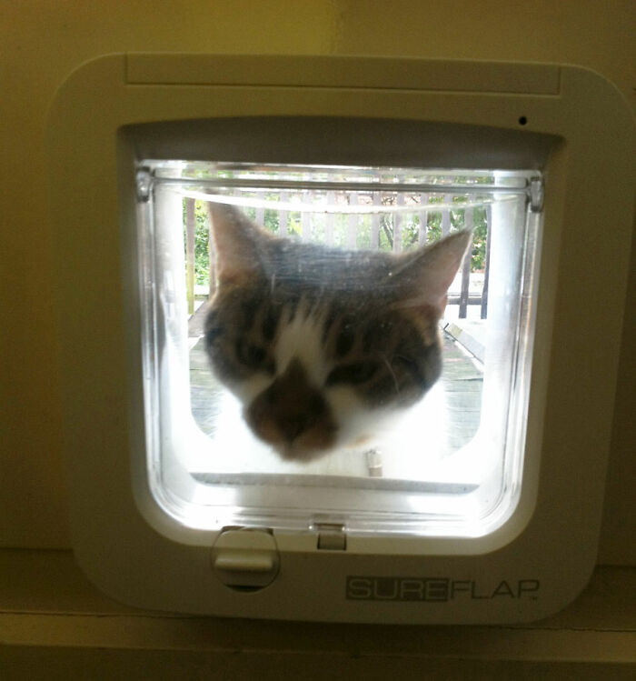 Netizen Inquired, “Who Really [Messed] Up Their ’One Job?’“, And 30 People Came Through