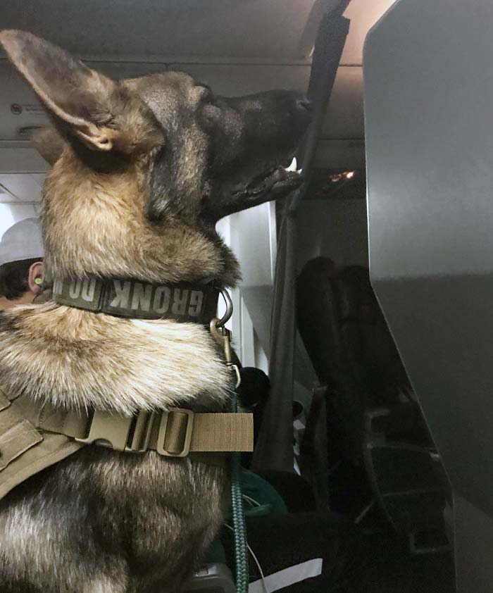 Caught Him Watching A Movie On The Flight