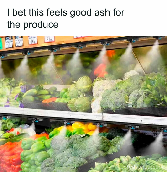 Food-Memes-Famishedclub