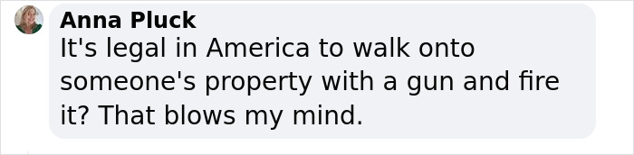 &ldquo;Yeah, I Shot Your Dog&rdquo;: Angie Harmon &ldquo;Traumatized&rdquo; After Instacart Driver Kills Family Pet