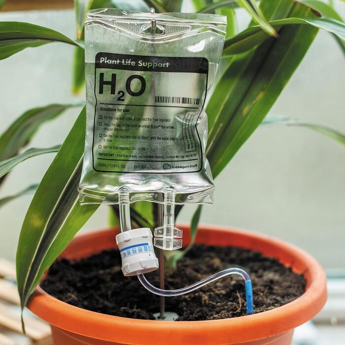 Plant watering drip system with timer in a pot, one of the Amazon finds hovering between genius and unusual products.