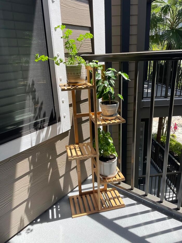 Eco Vibes Only: Bamboo Plant Stand For That Lush Indoor Jungle